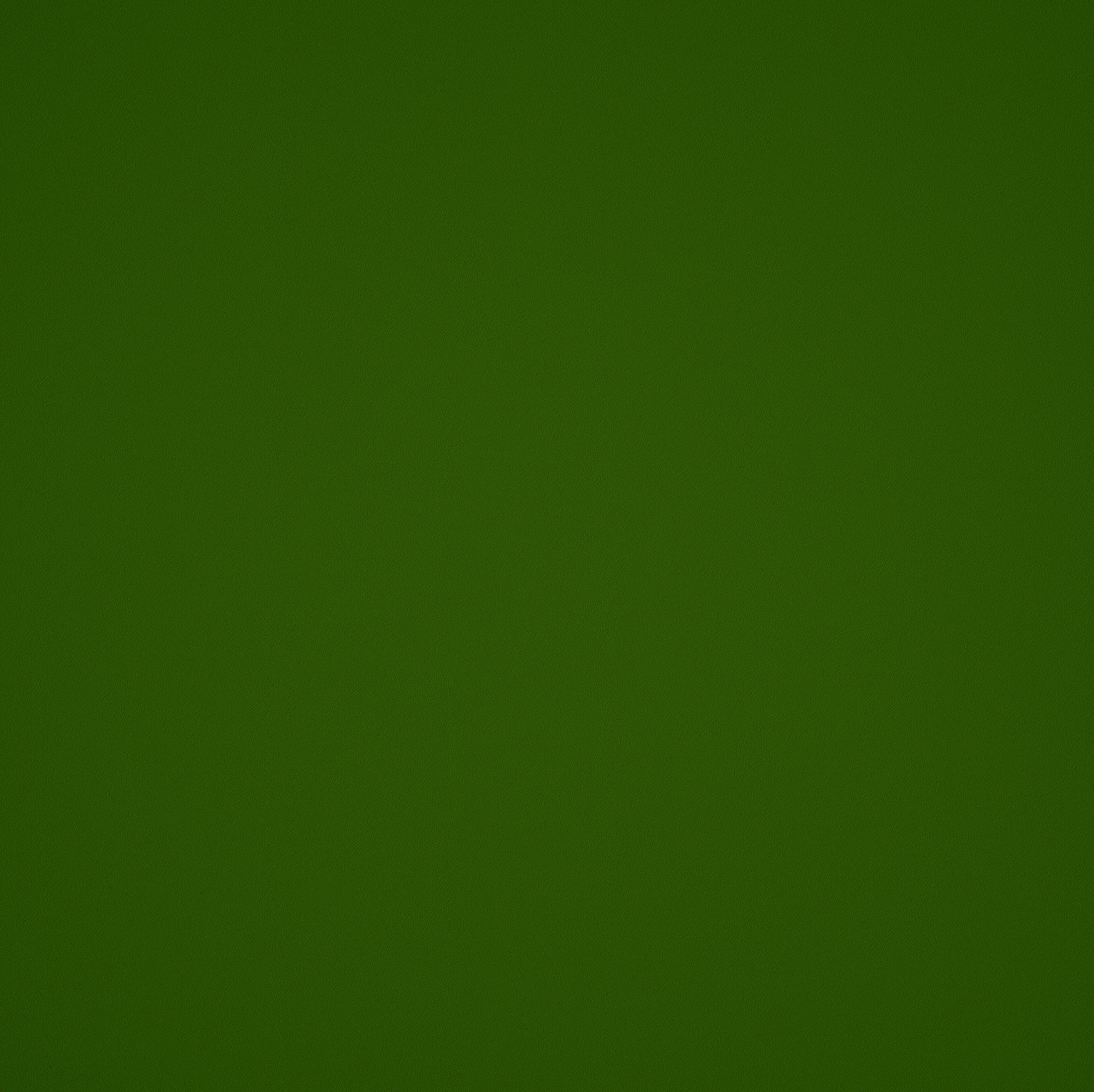 Elite Seamless Vulcanized Rubber Gym Flooring - Image 34