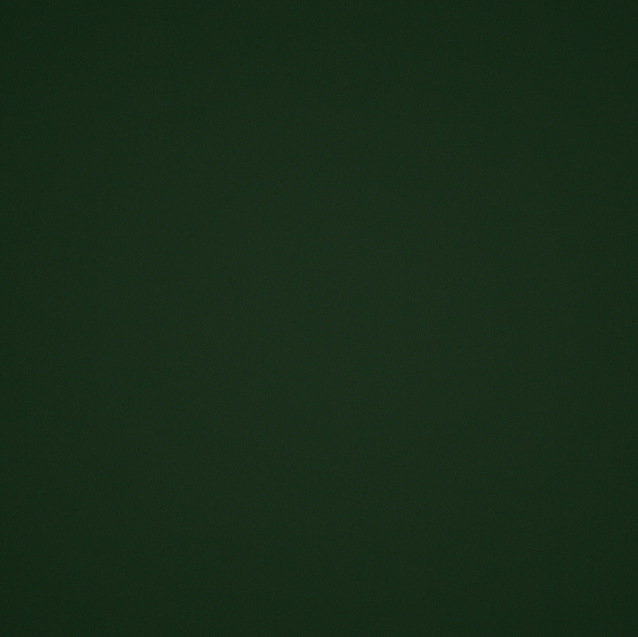 Elite Seamless Vulcanized Rubber Gym Flooring - Image 35