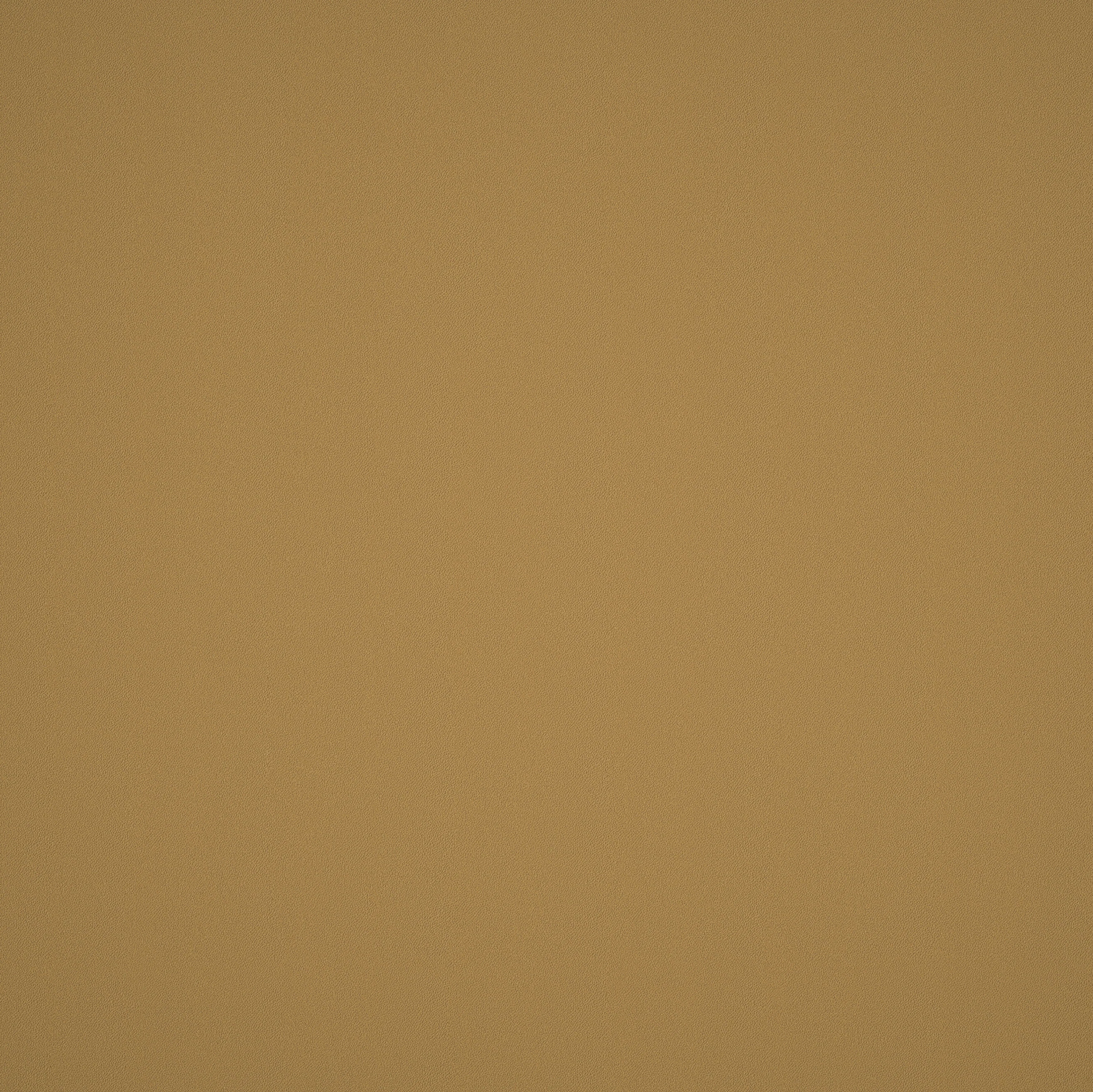 Elite Seamless Vulcanized Rubber Gym Flooring - Image 43