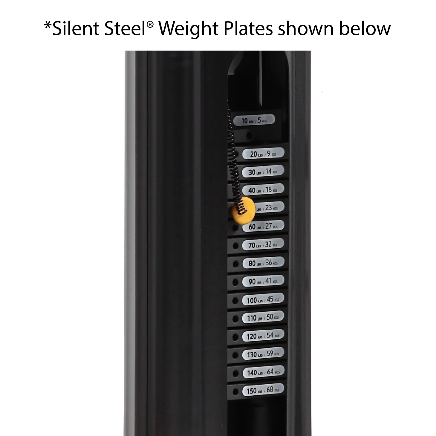 Hoist Fitness 5lb Add-On Weight (Made for Silent Steel Weight Plates) - RS, CMJ, HD, Mi series, and V series gyms - Image 2