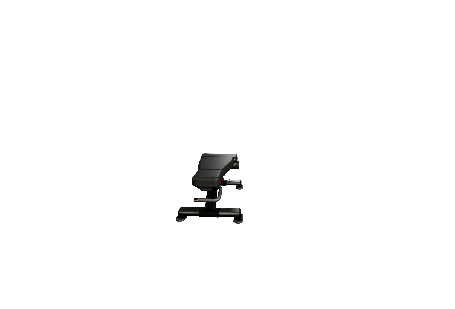 Nautilus Adjustable Decline Bench - Image 4