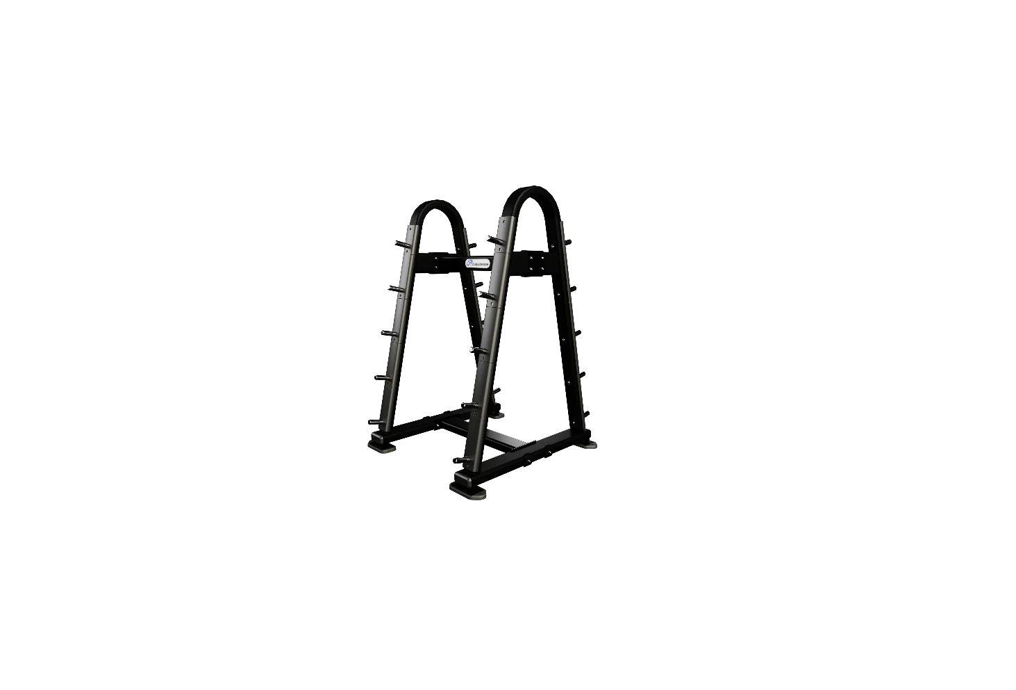 Nautilus Barbell Rack - Image 5