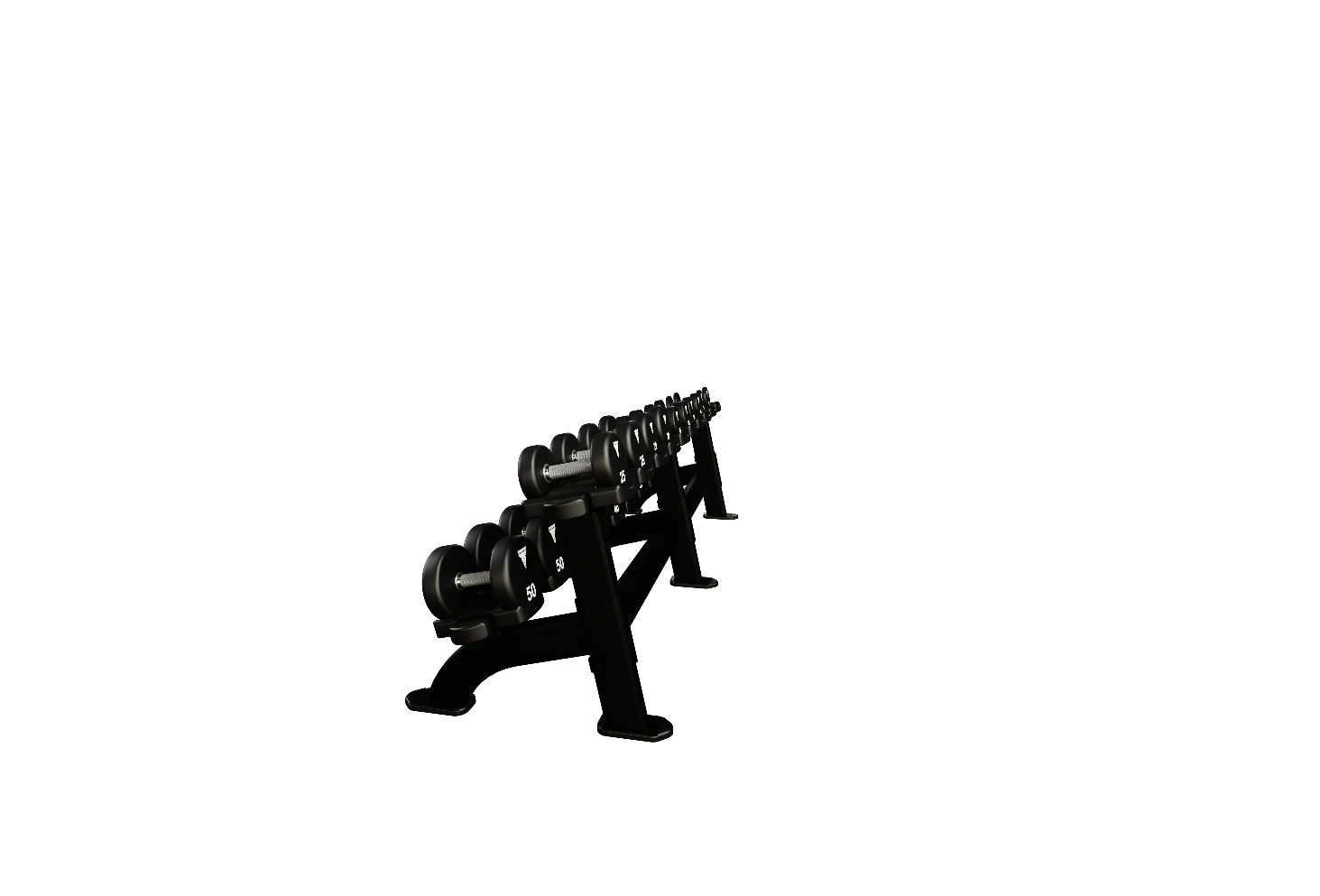 Nautilus Double Dumbbell Rack - Image 5