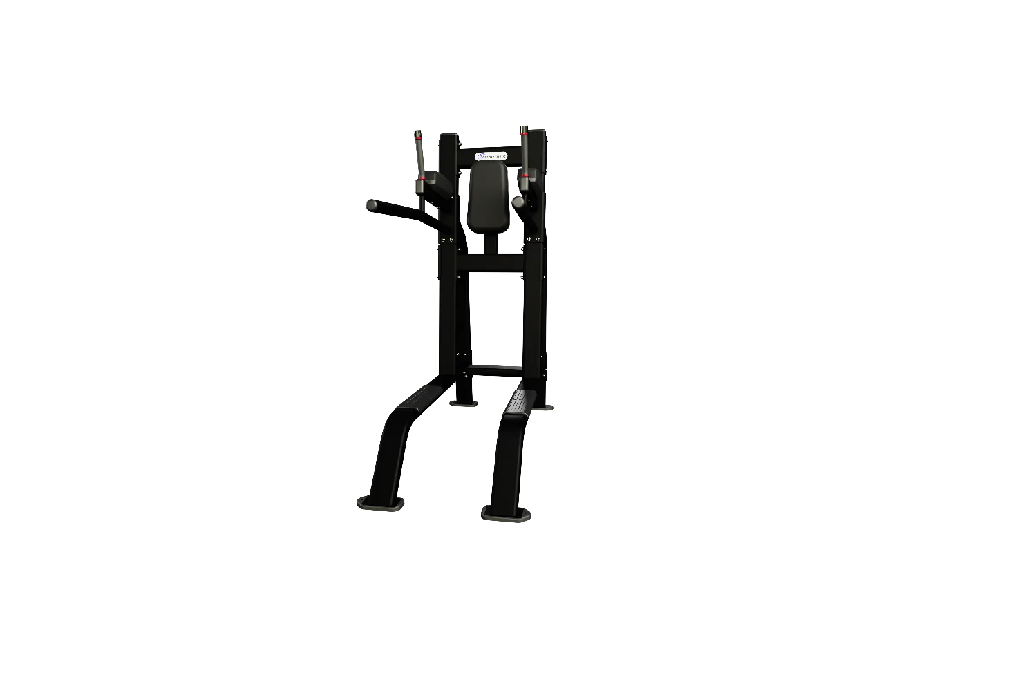 Nautilus Leg Raise/Dip - Image 7