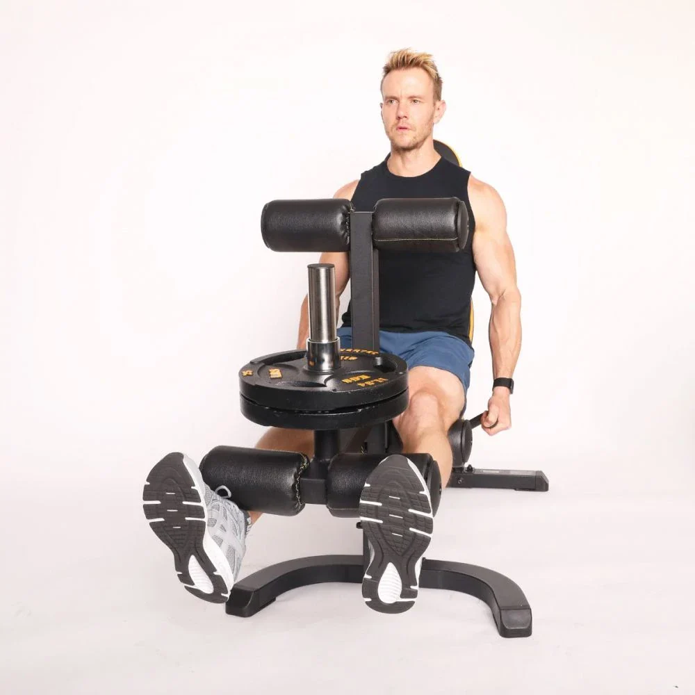 Powertec Leg Lift/Curl Attachment - Image 3