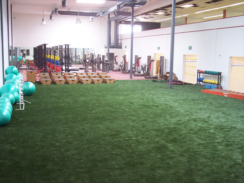 Premium Athletic Turf - Image 5