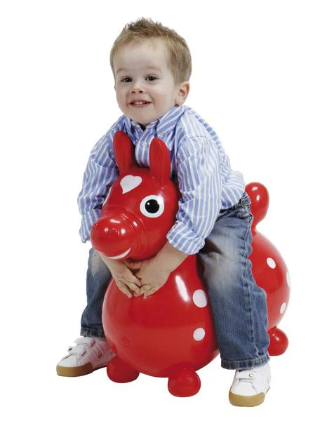 RODY Horse - Image 5