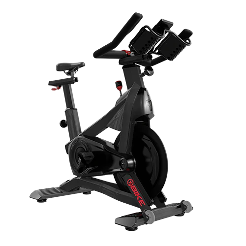 Schwinn  X Bike