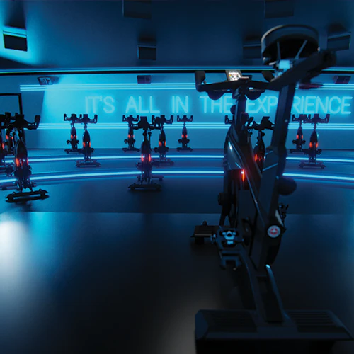 Schwinn Z Bike - Image 2